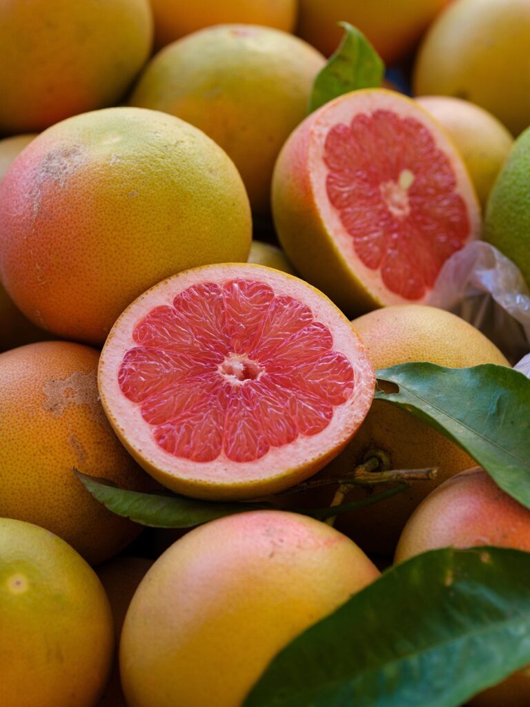 orange, mandarin, citrus, grapefruit, fruit, nutrition, vitamin, food, fresh, organic, healthy, market, agriculture, orange, orange, orange, orange, orange, grapefruit, grapefruit, grapefruit, fruit, fruit, fruit